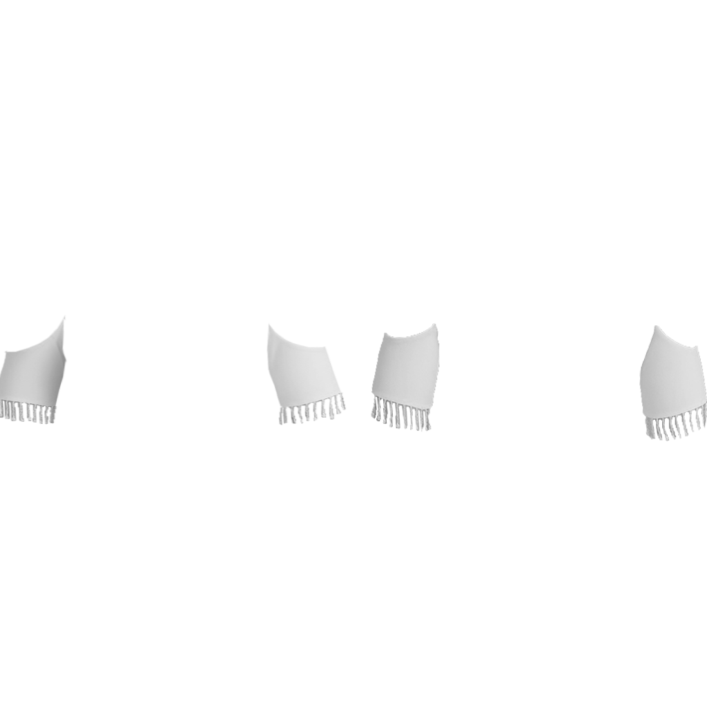 Shoulder Cut With Tassels.png Sleeve